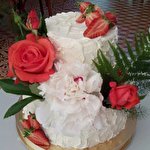 Ліза Присяжнюк #4951