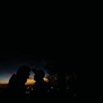 Богдан Сонячний #881