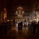 Ярина Пожега #563