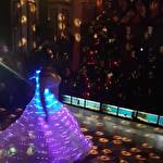 Шоу-программа