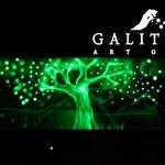 Шоу-программа