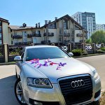 Віталій  #8176