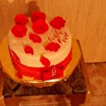Мар'яна Вереснюк #1057