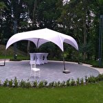 Соломія Стахів #6994