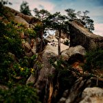 Taras Terletskyi #151