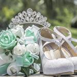 Координатор