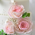 Оксана БлажерінА #6268