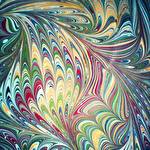 Шоу-программа