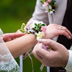 Софія Левчук #3429