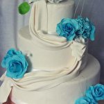 Марія Грицишин #4804