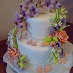 Галина Галушко (Стрий) #452