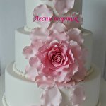 Леся Воробець #5067